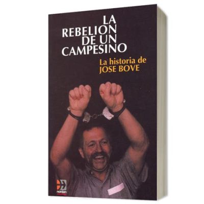 La Rebelión de Kitakata: Un levantamiento campesino por la justicia y el control del arroz