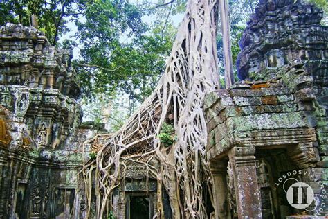 La Rebelión de Khmers en Angkor: Una Lucha por la Independencia contra el Imperio Khmer y el Surgimiento de un Nuevo Reino